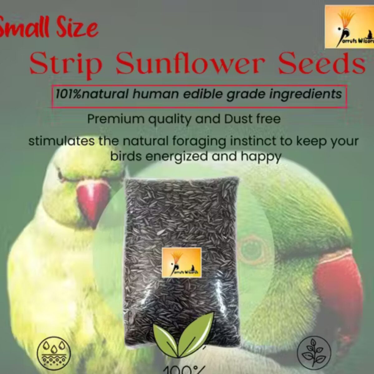 Sunflower Seed Bird Food, 450g – Nutritious Dry Bird Feed - Image 2
