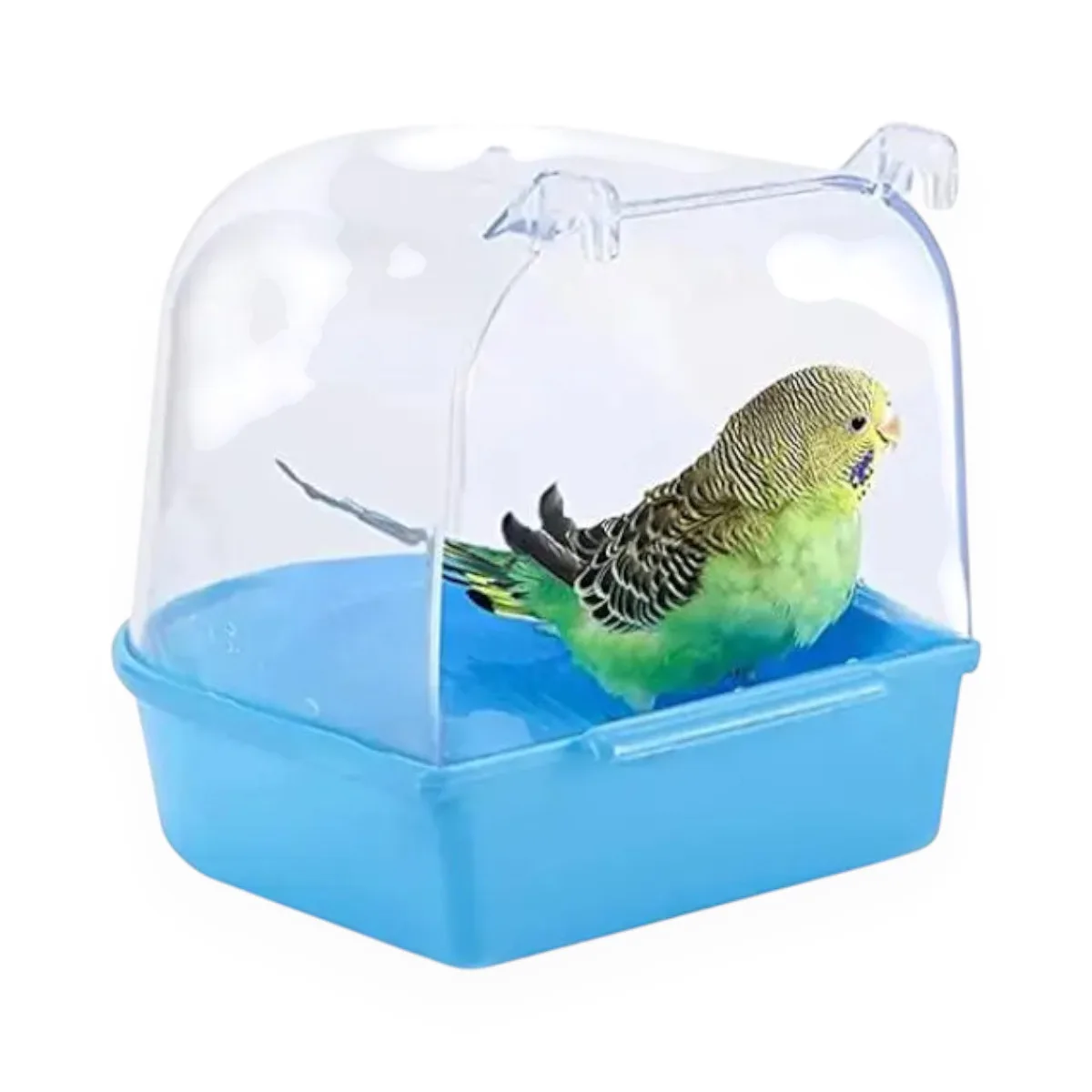 Sage Square Blue Bird Bath Box for Small Birds - Image 1