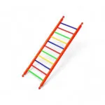 Colourful Bird Ladder – 11-Step Climbing Toy for Small Parrots