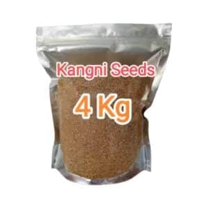Kangni Seeds – 4KG Foxtail Millet Bird Food
