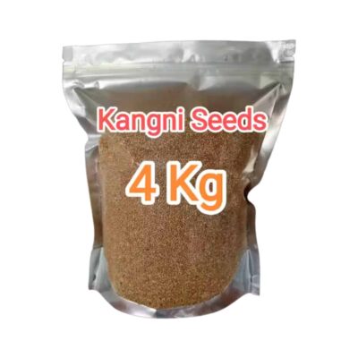 Kangni Seeds – 4KG Foxtail Millet Bird Food