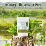 Bhumittra Rosemary Leaves 50g with Spray & Applicator - Image 4