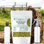 Bhumittra Rosemary Leaves 50g with Spray & Applicator